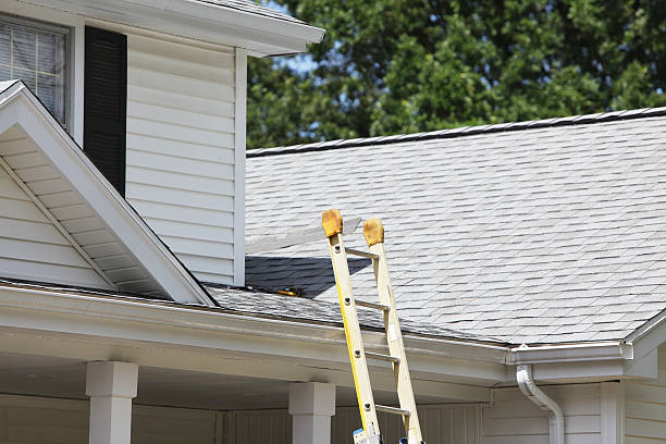 Siding Removal and Disposal in Holly Springs, NC